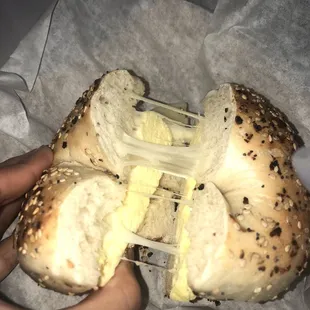 Everything bagel with egg and provolone cheese