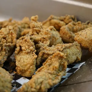 OYSTERS
