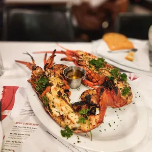 Spiny Lobster