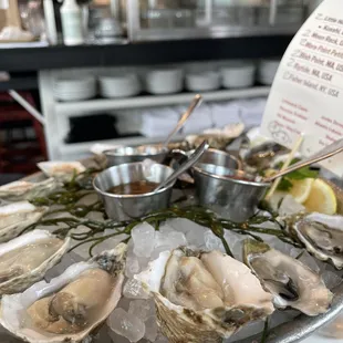 Oysters