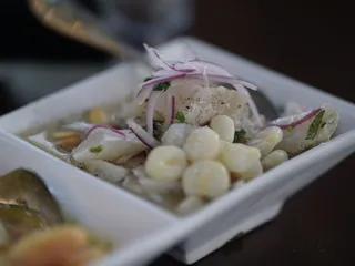 Emelina’s Peruvian Restaurant