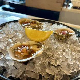 RAW OYSTERS