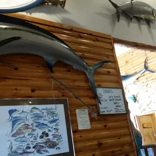 Fake fishies on the wall.