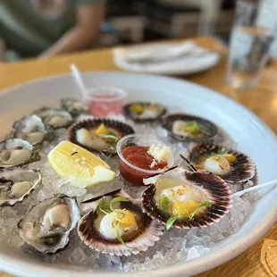 oysters, food, oysters and mussels, mussels, shellfish