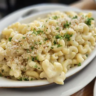 Mac &amp; Cheese parmesan, tillamook cheddar, panko