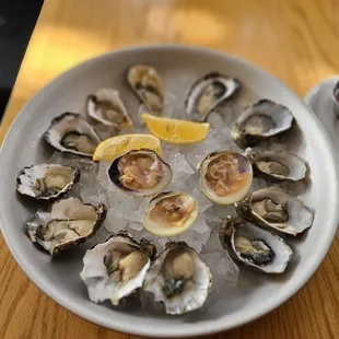 Chef 's Dozen Oysters