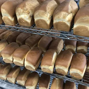 HOMESTYLE WHITE BREAD!!