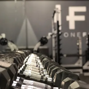 Dumbbells up to 100lbs