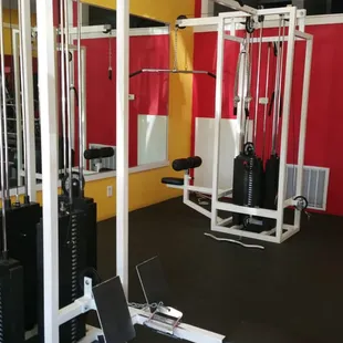 Jungle Gym