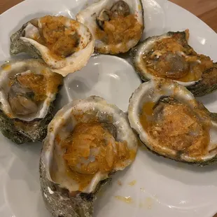 Kimchi Oysters