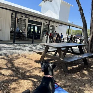 outside