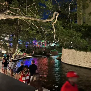 View from the patio