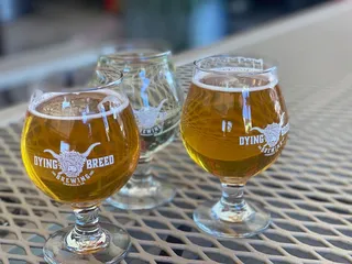 Dying Breed Brewing