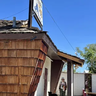 a man and a dog outside