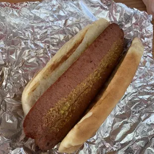 Kosher Style Hot Dog - just mustard