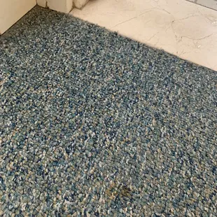 Stains all over the floor and filthy everywhere - wear shoes and don&apos;t let your babies crawl!