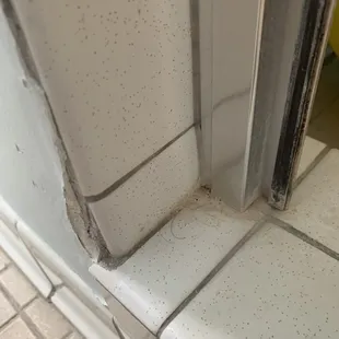 This is the disgusting shower when we checked into our room