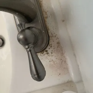 Mold and absolutely disgusting bathroom sinks and toilet