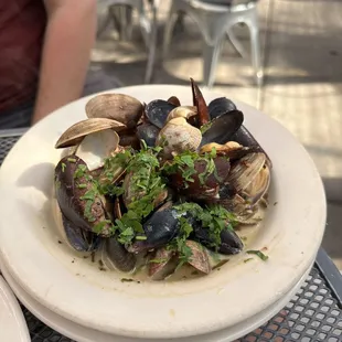 Clams and mussels