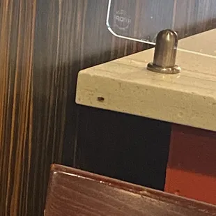 Cockroach on buffet counter