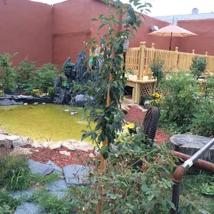 The pond in the outdoor eating area.