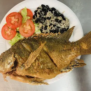 Tilapia platter