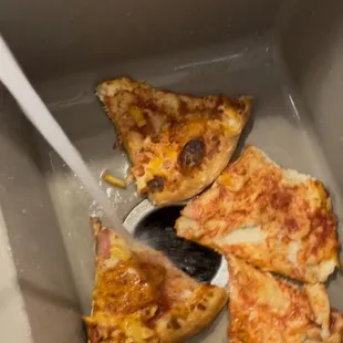 Going down the garbage disposal Five Star Disgusting Undercooked Pizza
