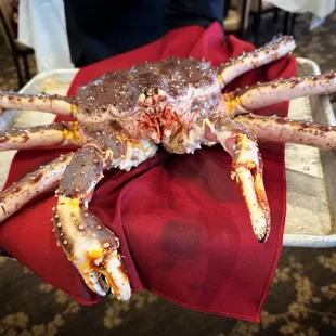 Alaskan King Crab