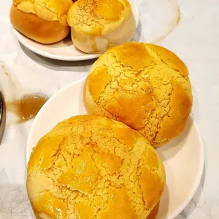 Custard Buns