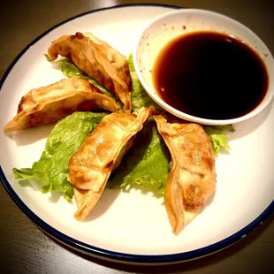 Gyoza