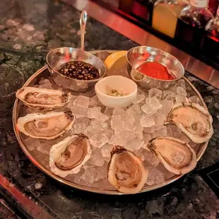 Left to right 2 Little Moon 2 Beau Soliel  2 Pretty Baby