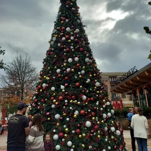 Outside Christmas tree