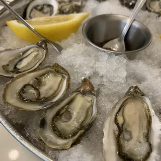 Oysters in the 1/2 Shell