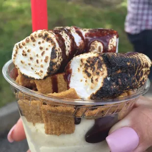 S'mores