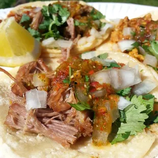 Carnitas Tacos