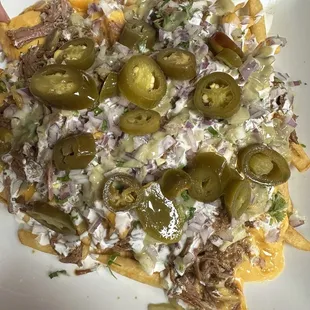 Birria Fries