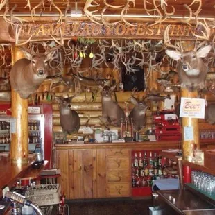 A look down the bar.