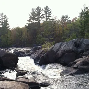 Little Falls Slough Gundy