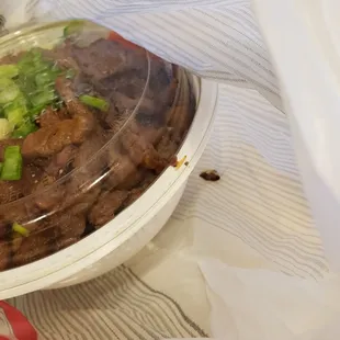 Dead bug found with food