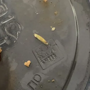 Worms!!!!!!
