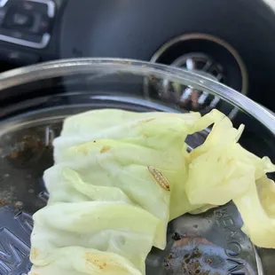 More worms!!!!