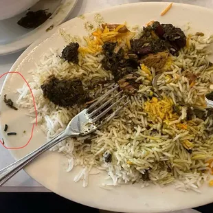 salads, food, salad
