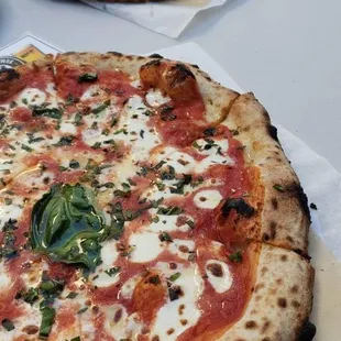 Everything pizza and class margherita