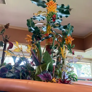 It&apos;s a nice tropical old are feeling please not a lot of folks Orange juice is amazing.