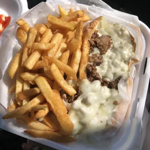 Philly cheese steak and fries