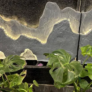 10/12/24 There's koi at the bottom of the water feature