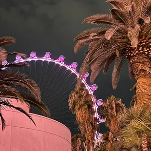 High Roller from the Flamingo Habitat.