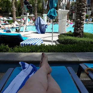 View from the lounge chair