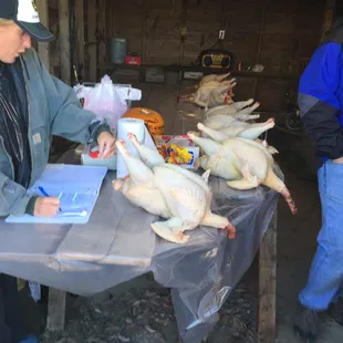 a woman standing at a table with chickens on it