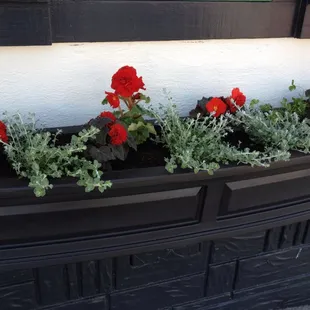 New flower box. Stepping it up a notch.